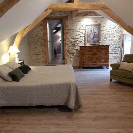 Chateau De La Moriniere Beaupréau-en-Mauges Eksteriør bilde